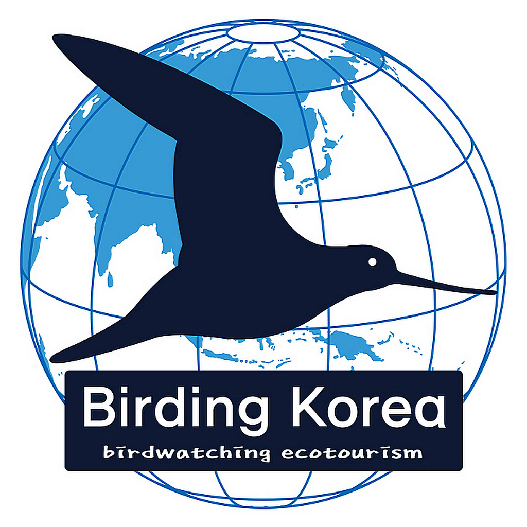 Birding Korea