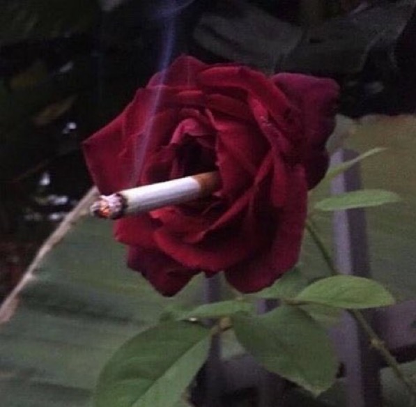 불에옥잠