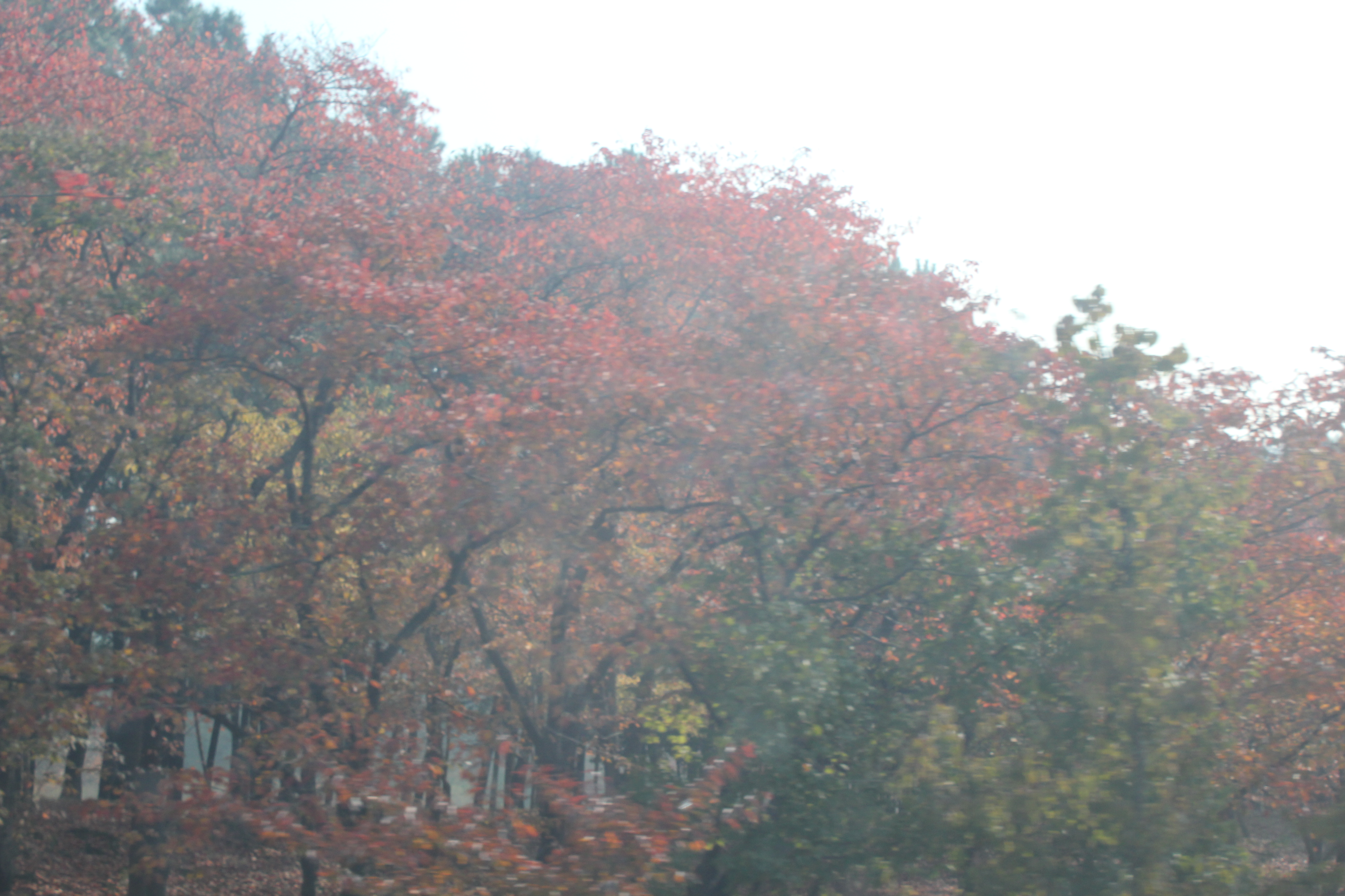 몽실냥0329