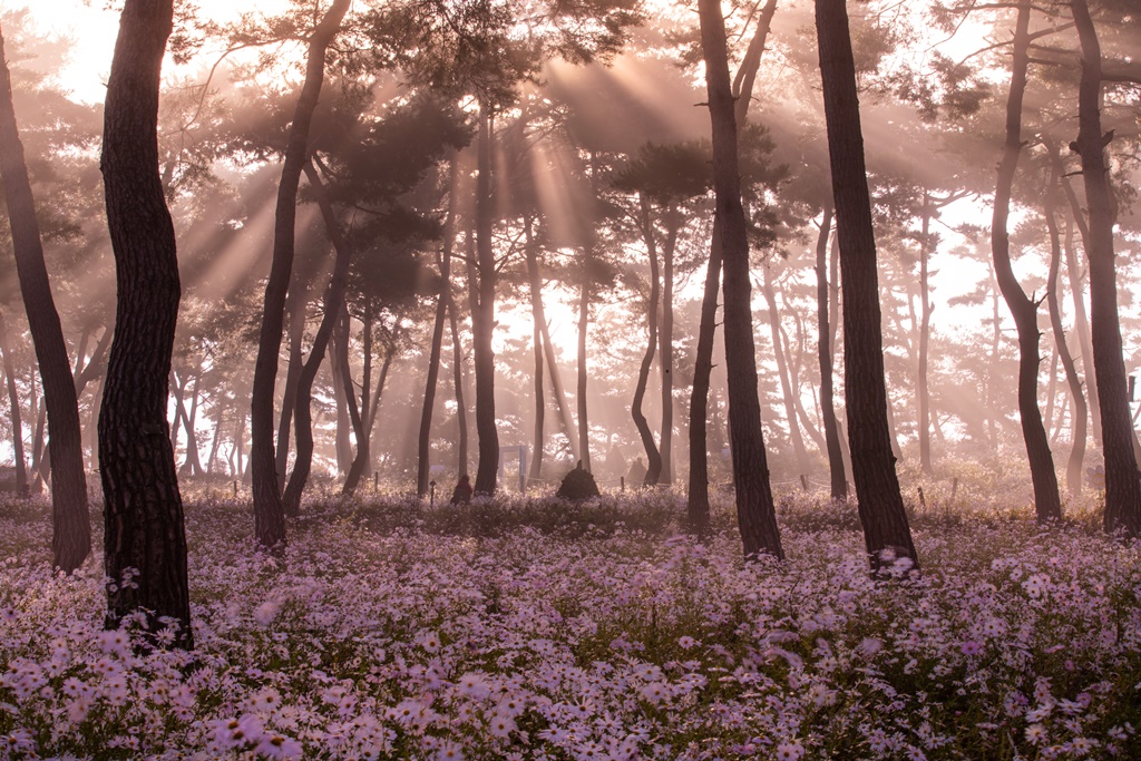 산그길