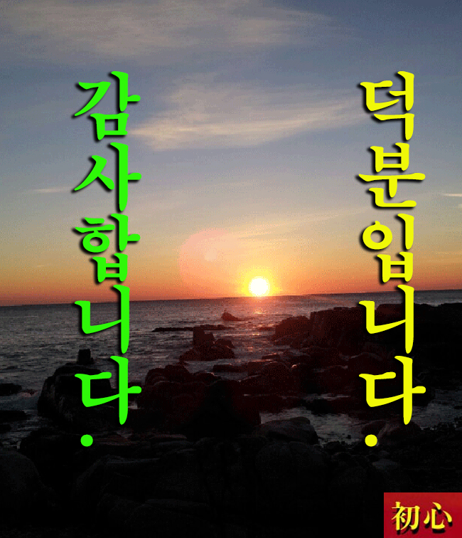 初心(초심)