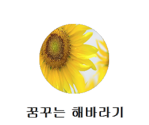 사진으로 말해요.....^ ^ 꿈꾸는 해바라기