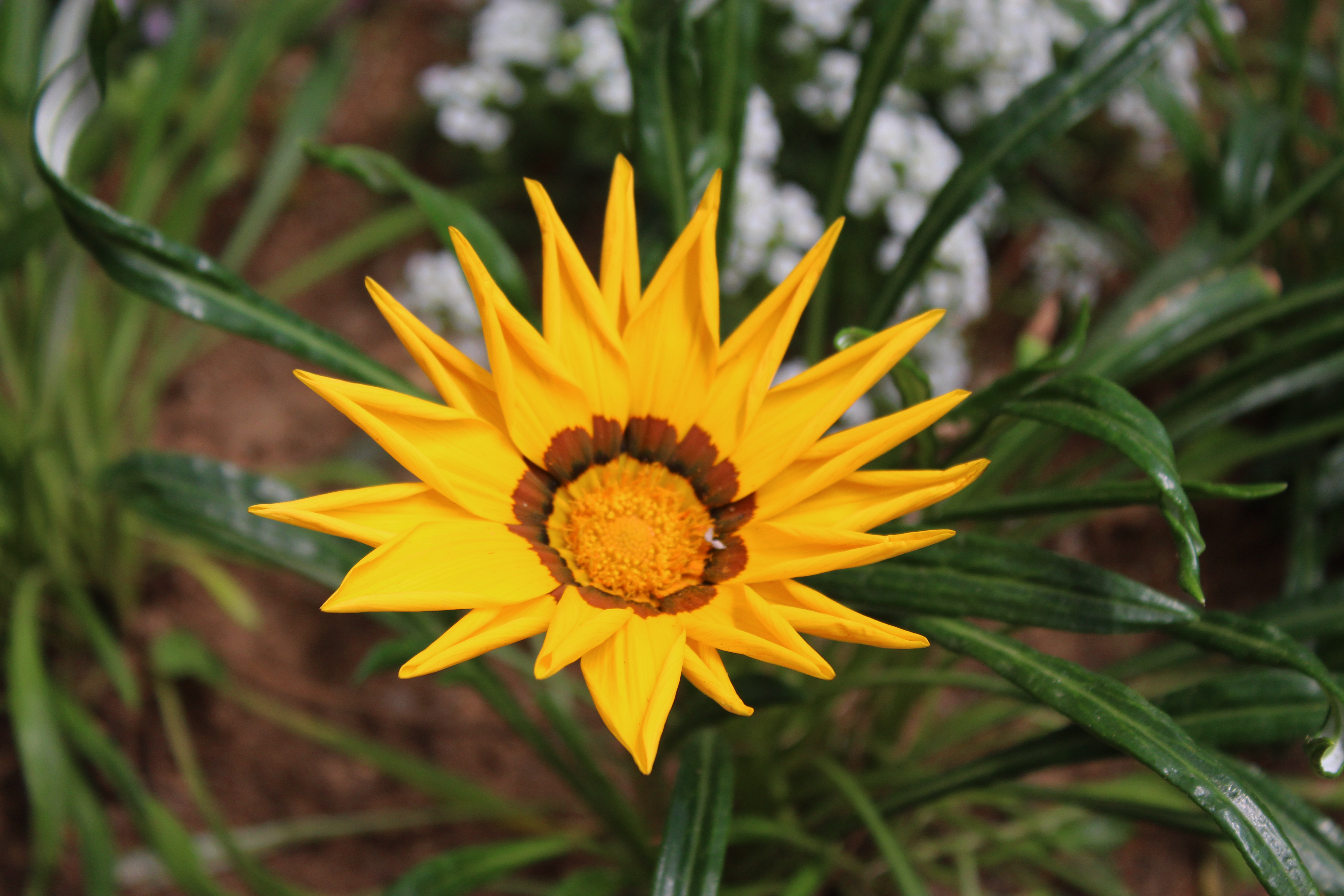 세대공감 & 그리움