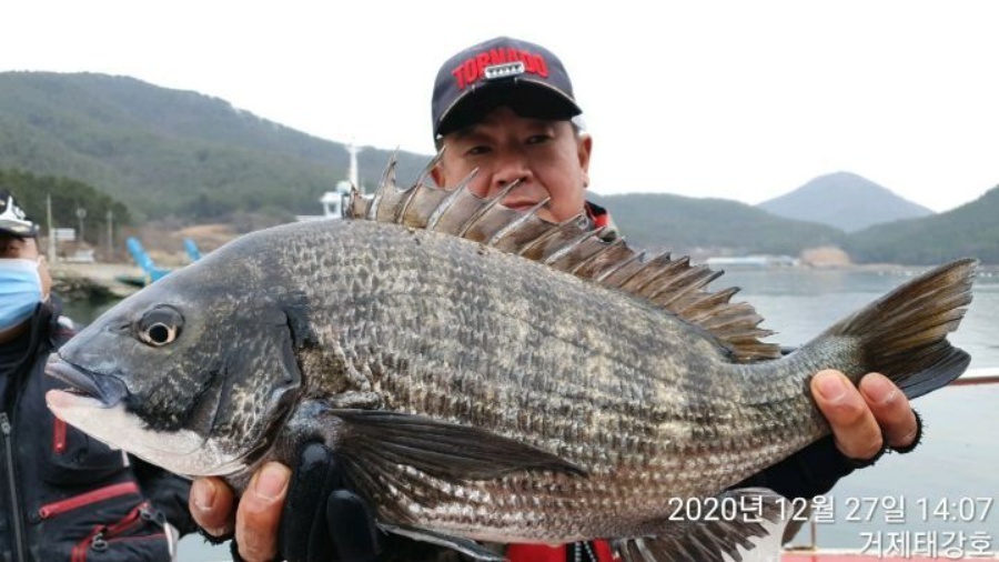 곰돌감시의 낚시세상