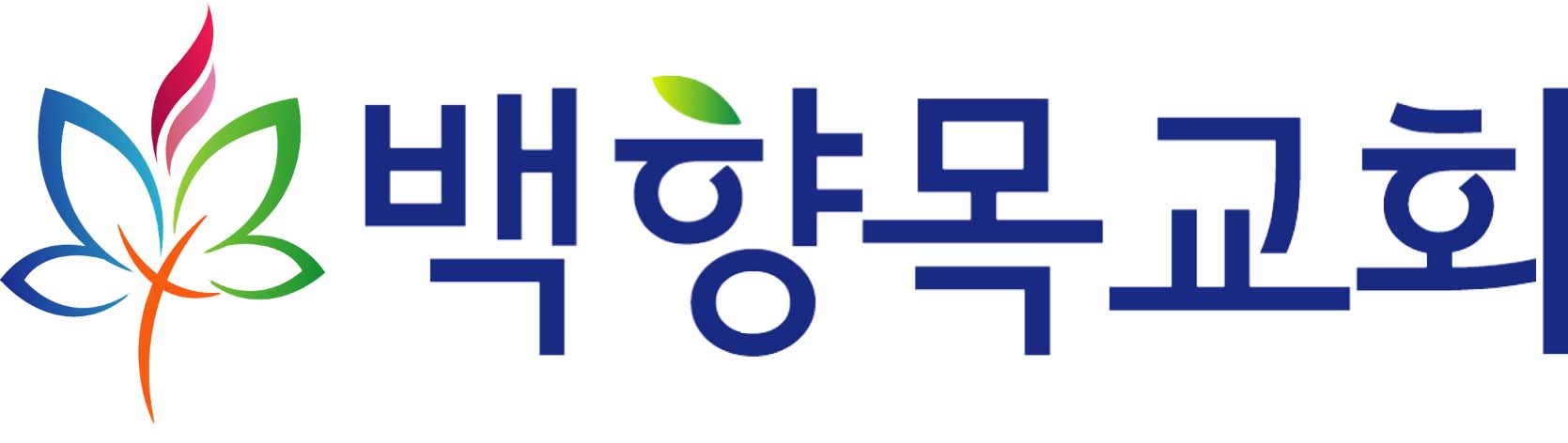 백향목교회