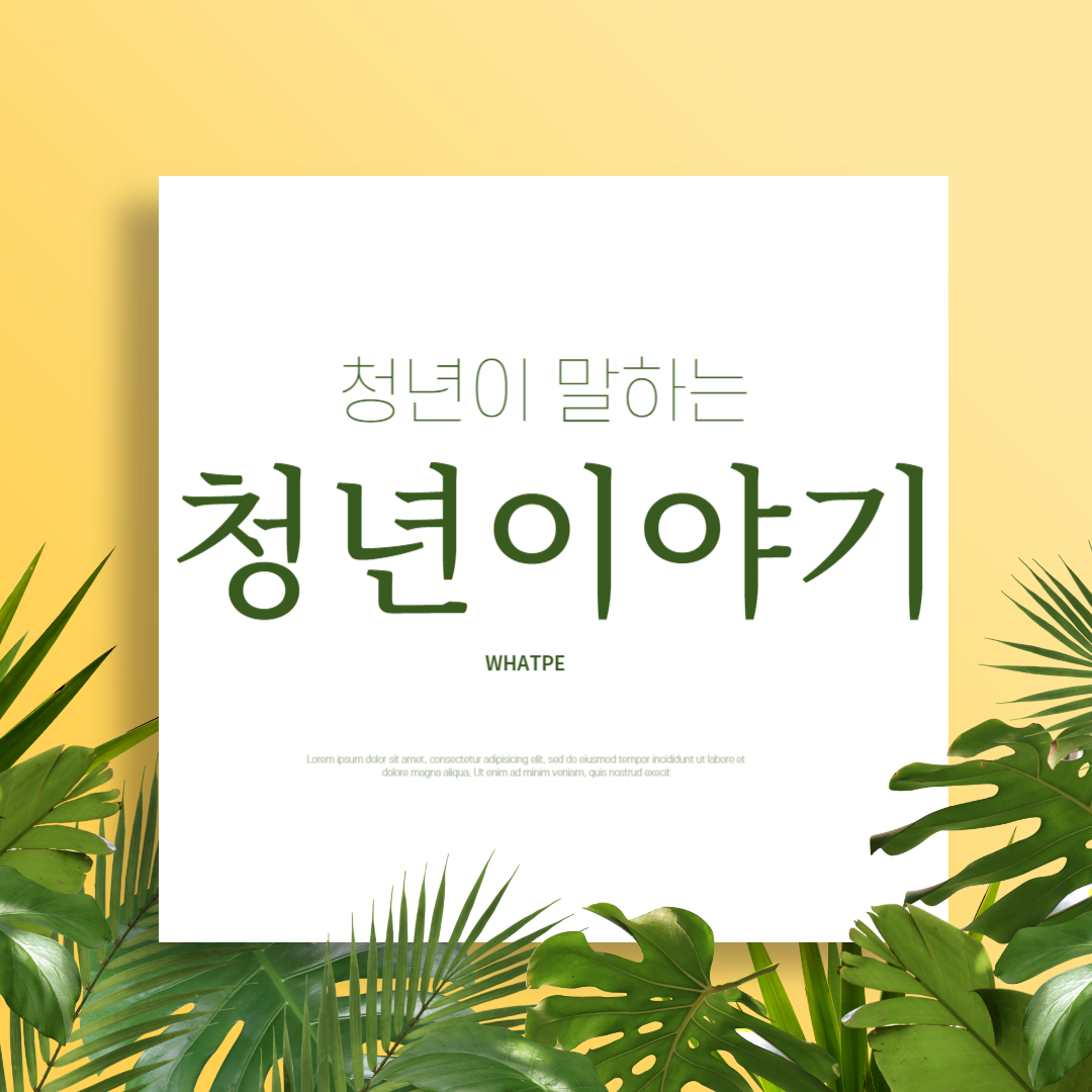 스키비디