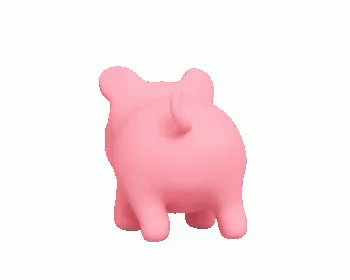 공대생의 은밀한 취향