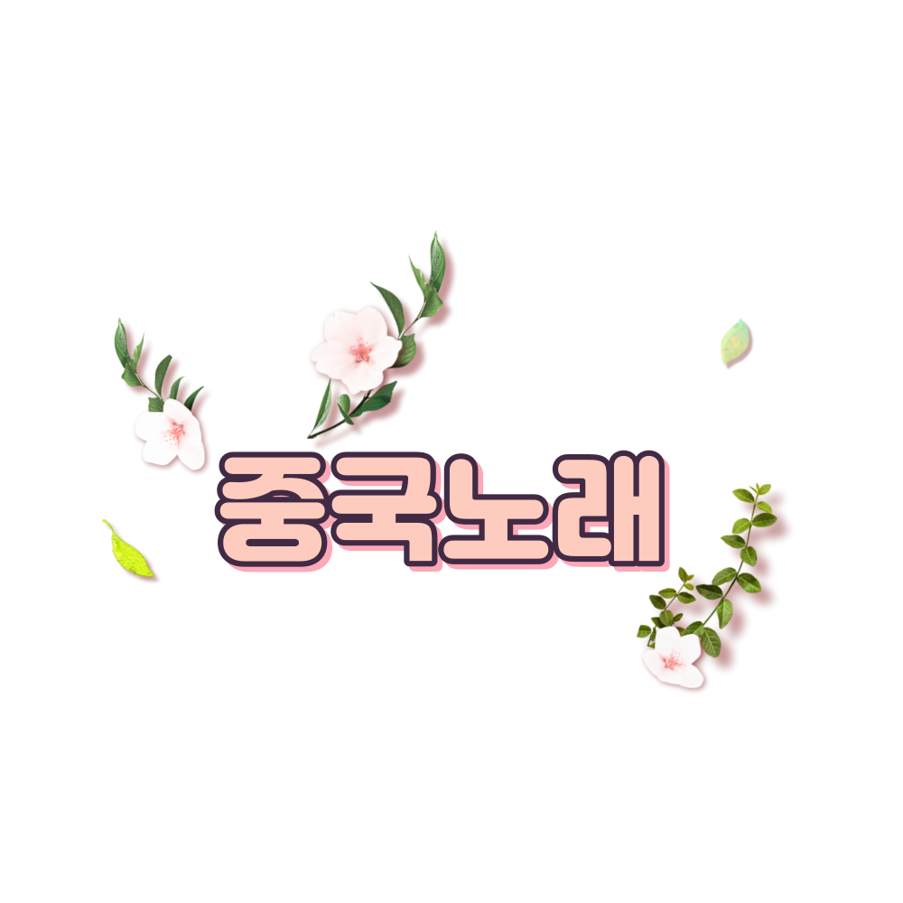중국노래추천