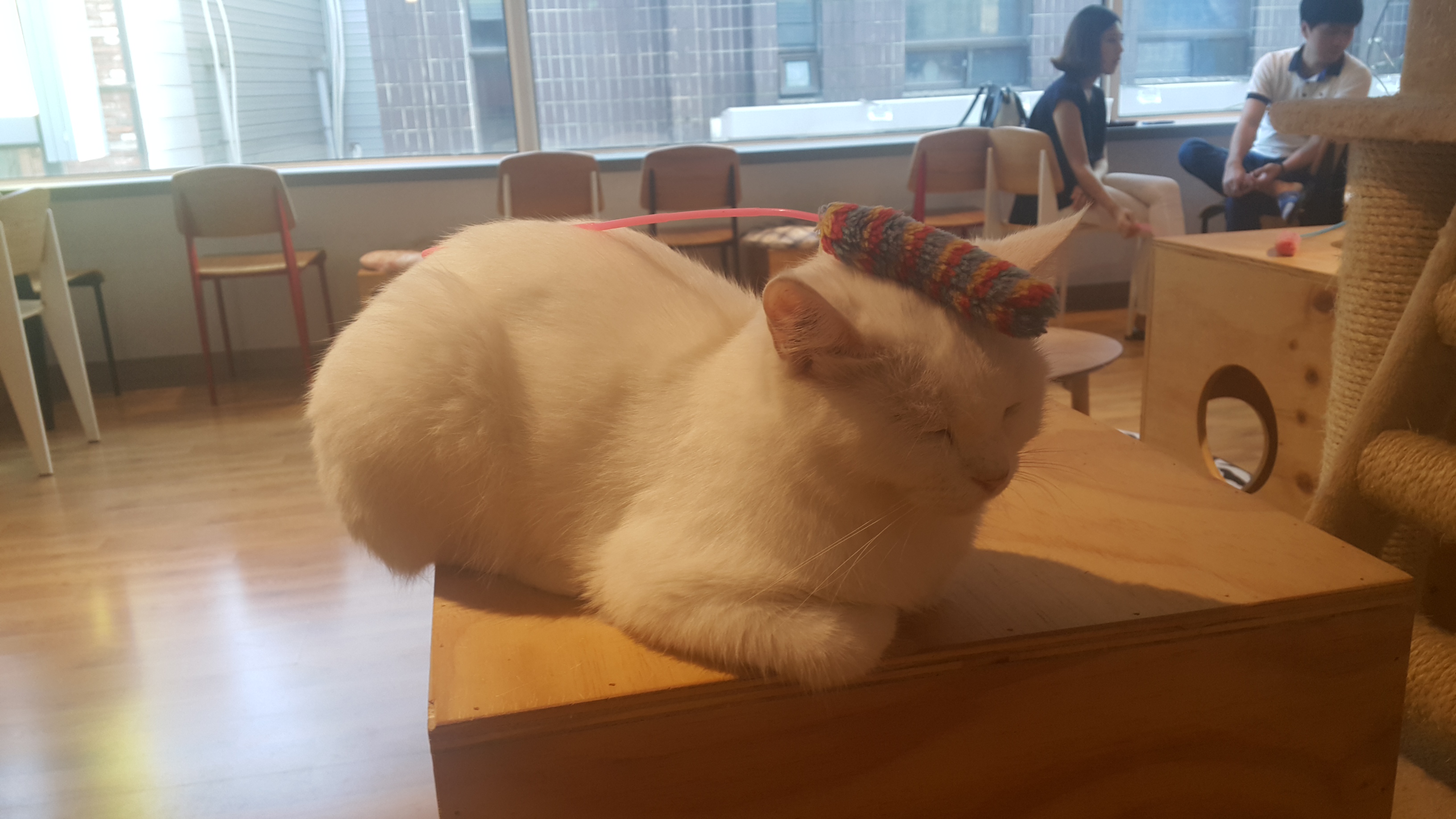 로고 이미지